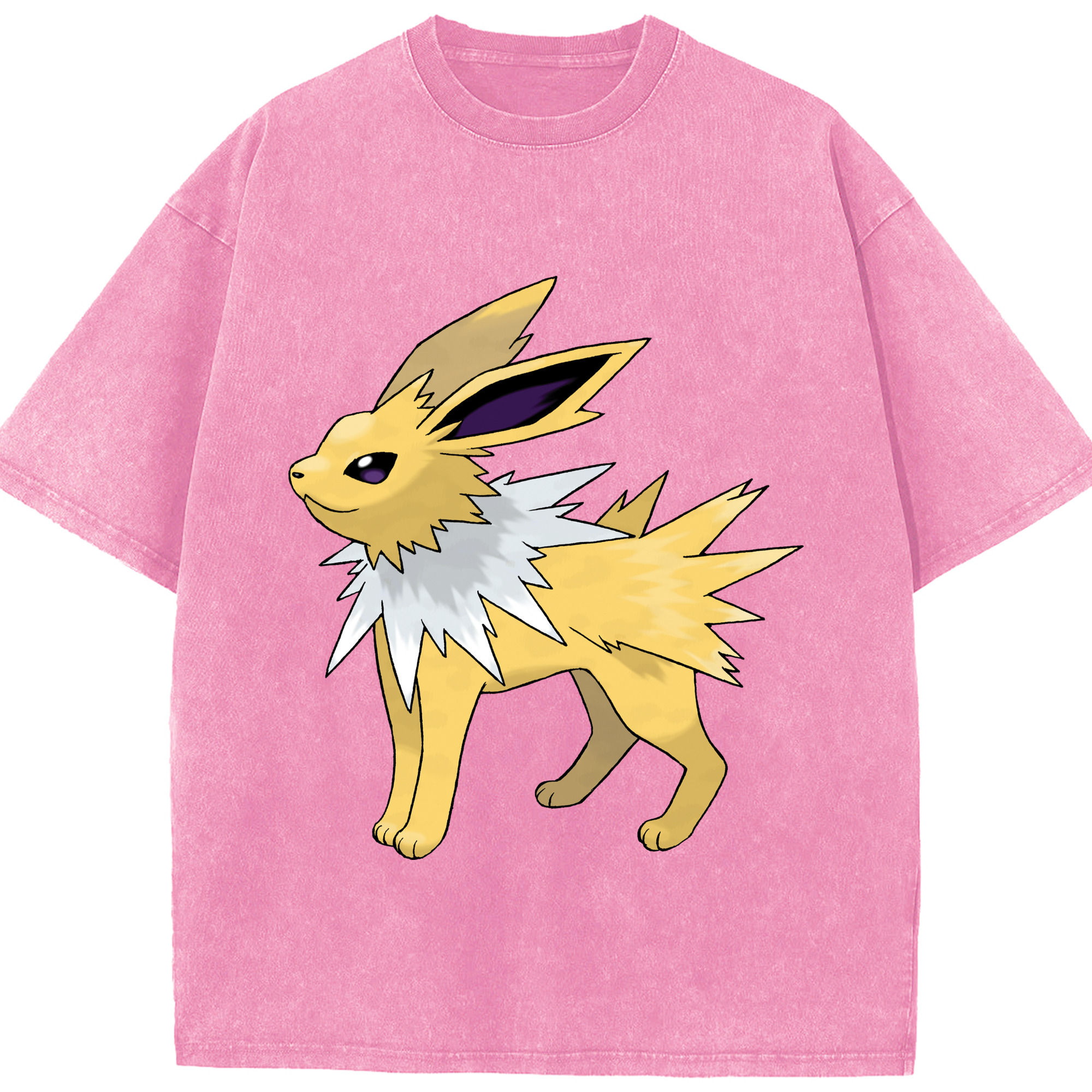 （画像用） ポケットモンスター Pokémon 綿100% ヴィンテージ風 半袖Tシャツ（フロントプリント）
